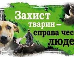 Закликаємо небайдужих створити громадську організацію по забезпеченню захисту безпритульних тварин!