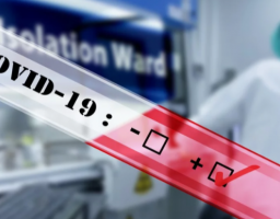 Лабораторно підтверджено 41 новий випадок COVID-19 в області. Від ускладнень померли ще вісім хворих