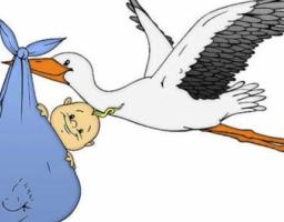 Під час модернізації медичного містечка в Попасній, планують відновити роботу пологового будинку