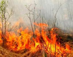 Попаснянський міськрайонний відділ Головного Управління ДСНС України у Луганській області закликає дотримуватись правил пожежної безпеки