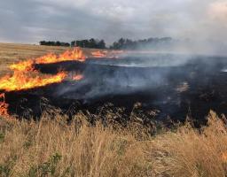 За тиждень у Попаснянському районі ліквідовано 98 пожеж