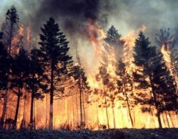 УВАГА! РІВЕНЬ ПОЖЕЖОНЕБЕЗПЕЧНОЇ СИТУАЦІЇ – ЖОВТИЙ!!!