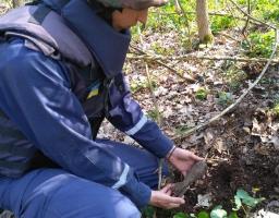 Піротехніками на Луганщині виявлено та знищено сім вибухонебезпечних предметів 