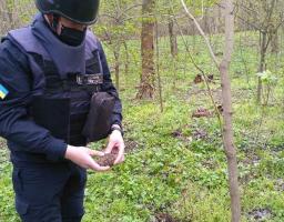Піротехніками на Луганщині виявлено та знищено шість вибухонебезпечних предметів 
