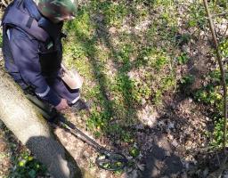 Піротехніками на Луганщині виявлено та знищено 64 вибухонебезпечних предмети 