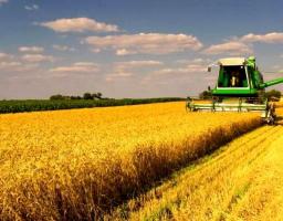 У Попаснянському районі тривають жнива ранніх зернових культур