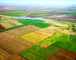 Консультує Головне територіальне управління  юстиції, щодо обміну земельними ділянками сільськогосподарського призначення