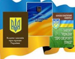 Порядок здійснення державного нагляду за додержанням законодавства  про працю